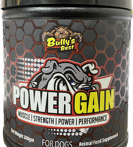 BULLY BEST POWER GAIN-300GMS