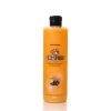 ALL4PETS GINGER BERRY DOG SHAMPOO