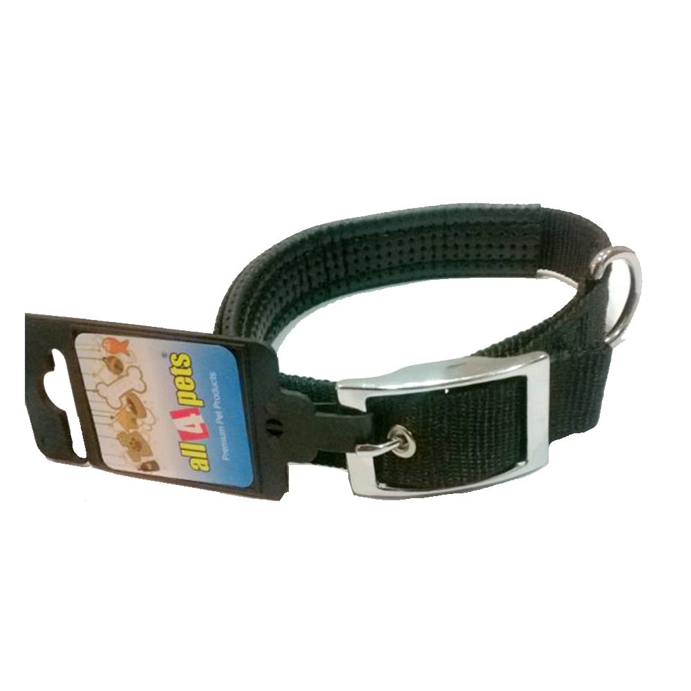 NYLON DOG COLLAR WITH PADDING 1