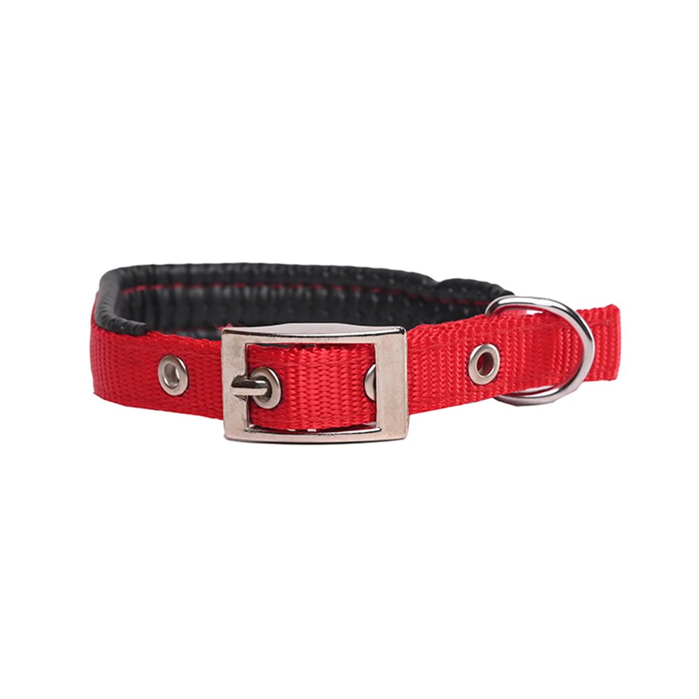 NYLON DOG COLLAR WITH PADDING Nylon Dog Collar with Padding