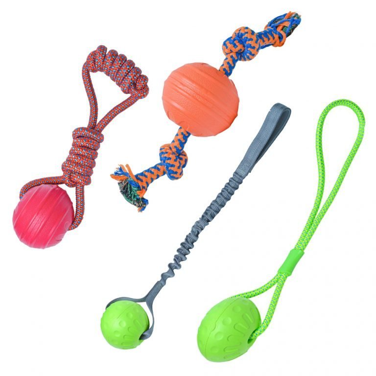 Buy Pet Toys Online At Best Price In India, Dog toys, Cat Toys