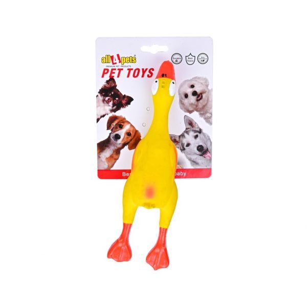 Latex Toy