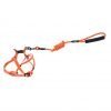 ALL4PETS PET LEASH AND HARNESS