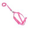 ALL4PETS PET LEASH AND HARNESS