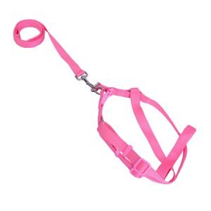 ALL4PETS PET LEASH AND HARNESS