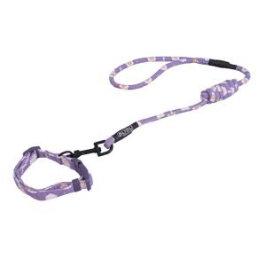 ALL4PETS PET COLLAR AND LEASH