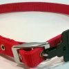 All4Pets Nylon Dog Collar Without Padding, 2.5 x 80 cm