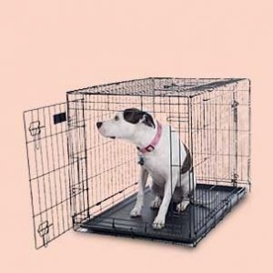 DOG CAGES