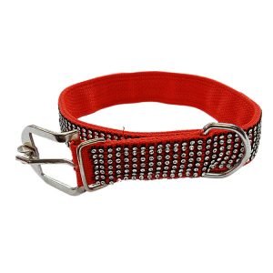 Stone Collar For Dogs
