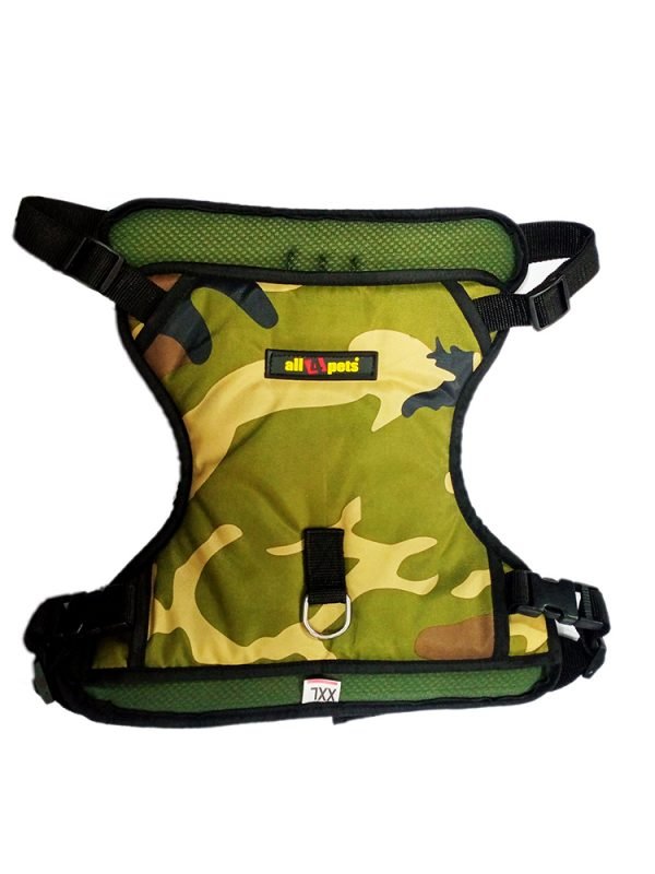Body Harness