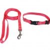 All4pets Nylon Collar/Leash 1/2″