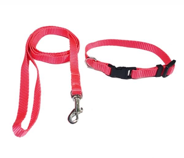 NYLON COLLAR/LEASH
