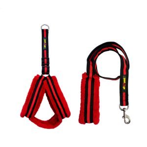 Fur Harness and Leash