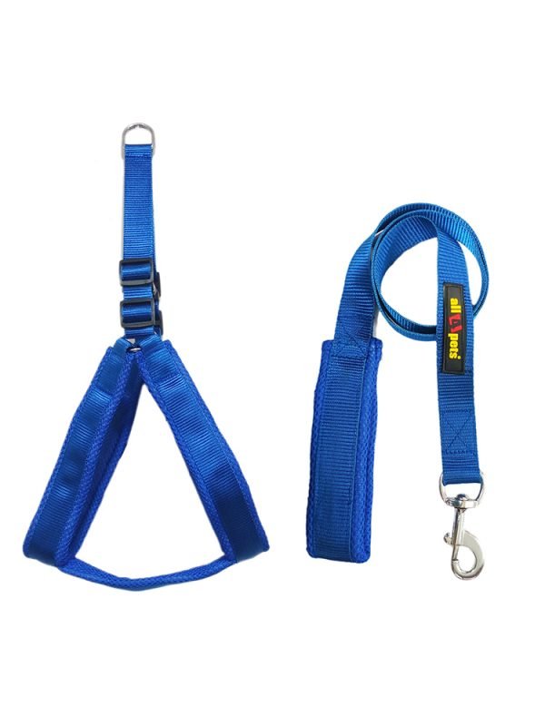 Nylon Harness and Leash With Padded