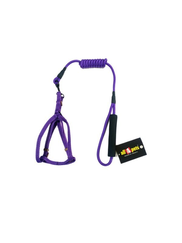 Nylon Leash & Harness-6mm