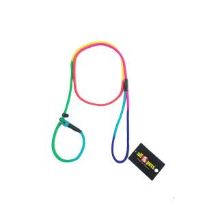 Nylon Coloured Show Leash