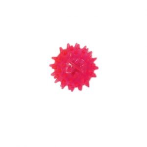 Spike Bone Shape Toy
