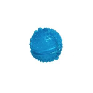 Dog Playing Toy