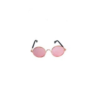 Sunglasses for Dogs