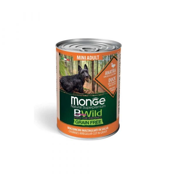 Best Dog Food India
