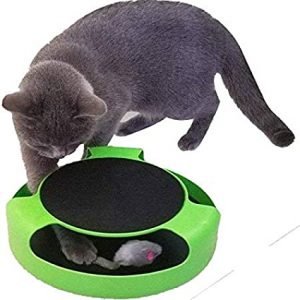 Catch The Mouse Toy, Cat Toys, Buy Online at Best Price