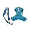 All4pets Harness and leash set