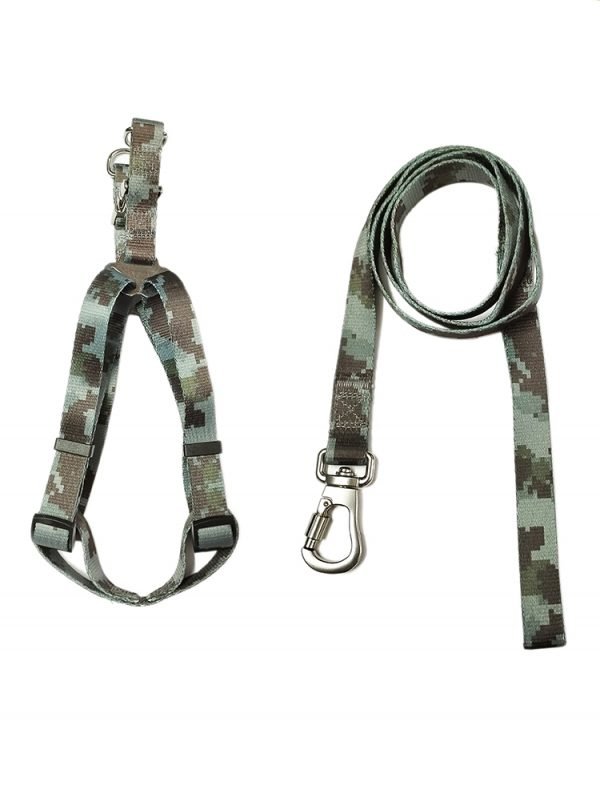 Pet Leash And Harness