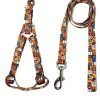 All4pets Nylon Leash & Harness for Dogs (1248-10)