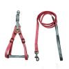 All4pets Nylon Leash & Harness for Dogs (1244-10)