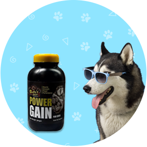 NUTRITIONAL SUPPLEMENTS
