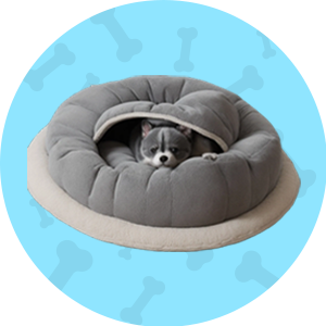 PET BEDS