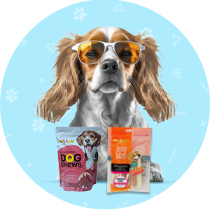 PET TREATS