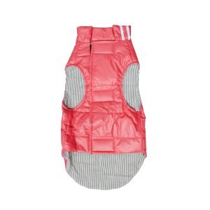 Winter H & M Jackets (Color may Vary) Orange